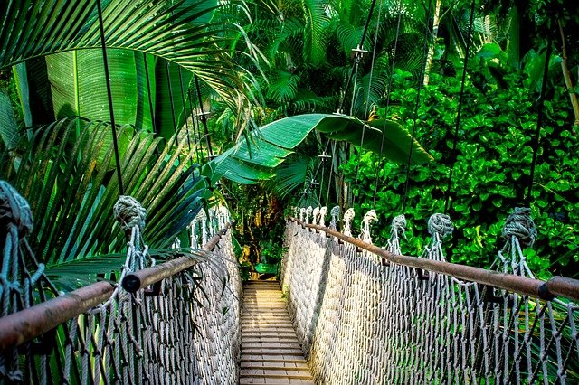 Amazônia contra a Biopirataria