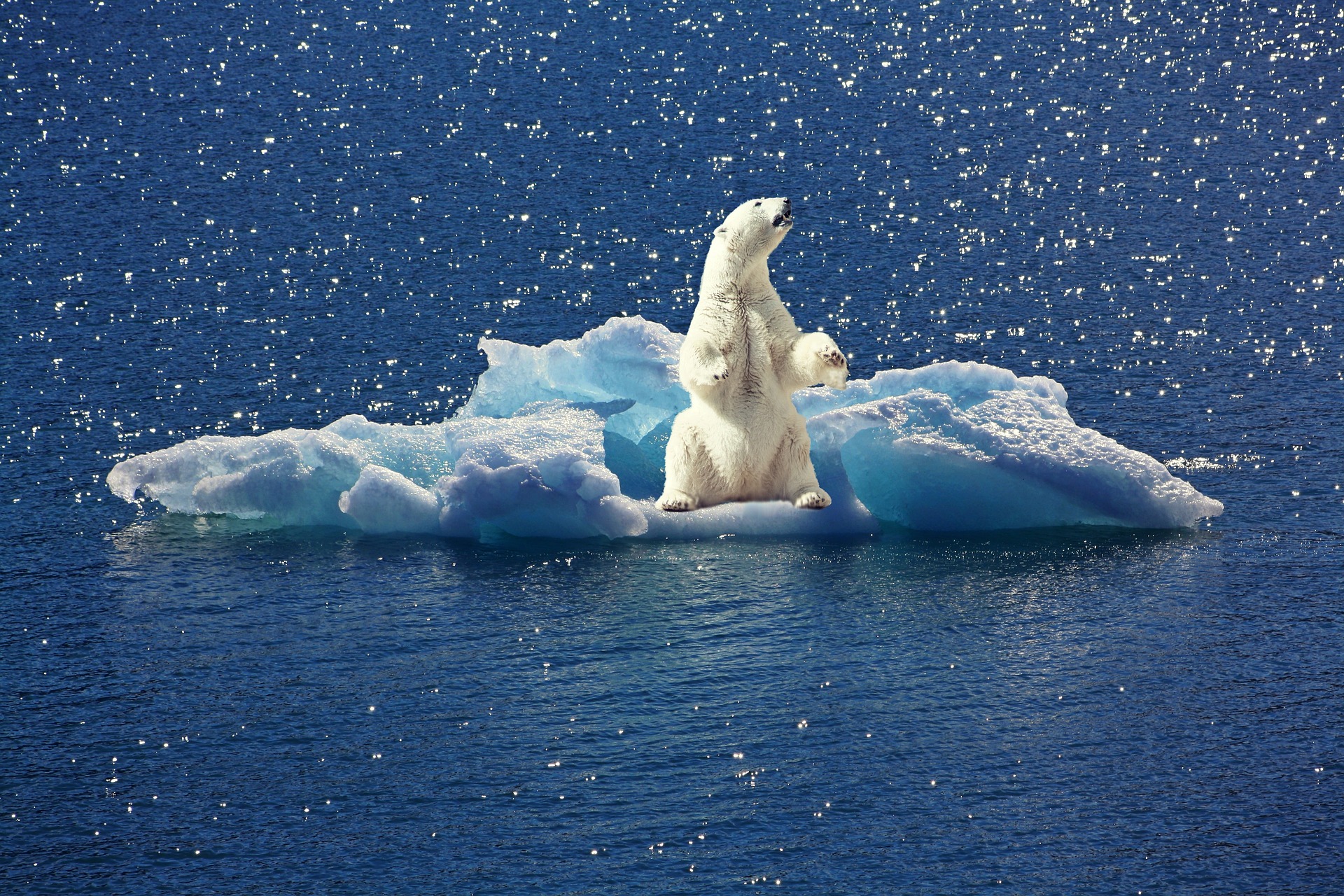 MUDANÇA CLIMÁTICA E ECONOMIA: COOPERAÇÃO vs COMPETIÇÃO