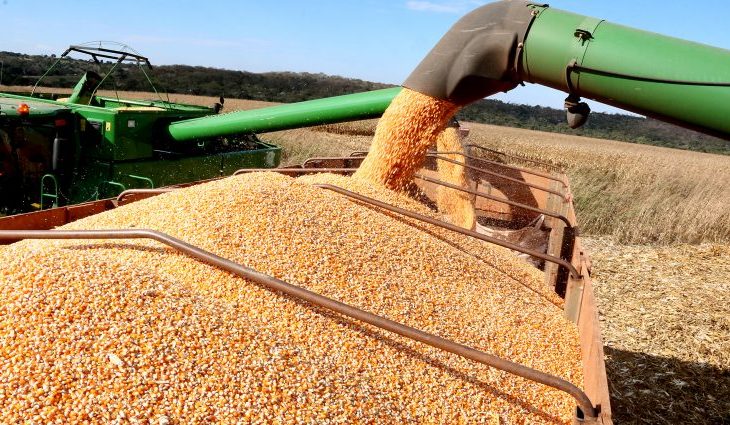 O agro é pop, mas e a fome?