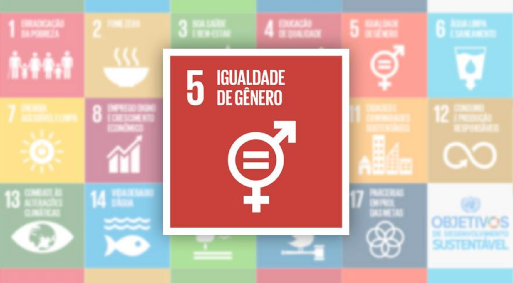 Agenda 2030 e a Igualdade de Gênero: um estudo de caso de Portugal
