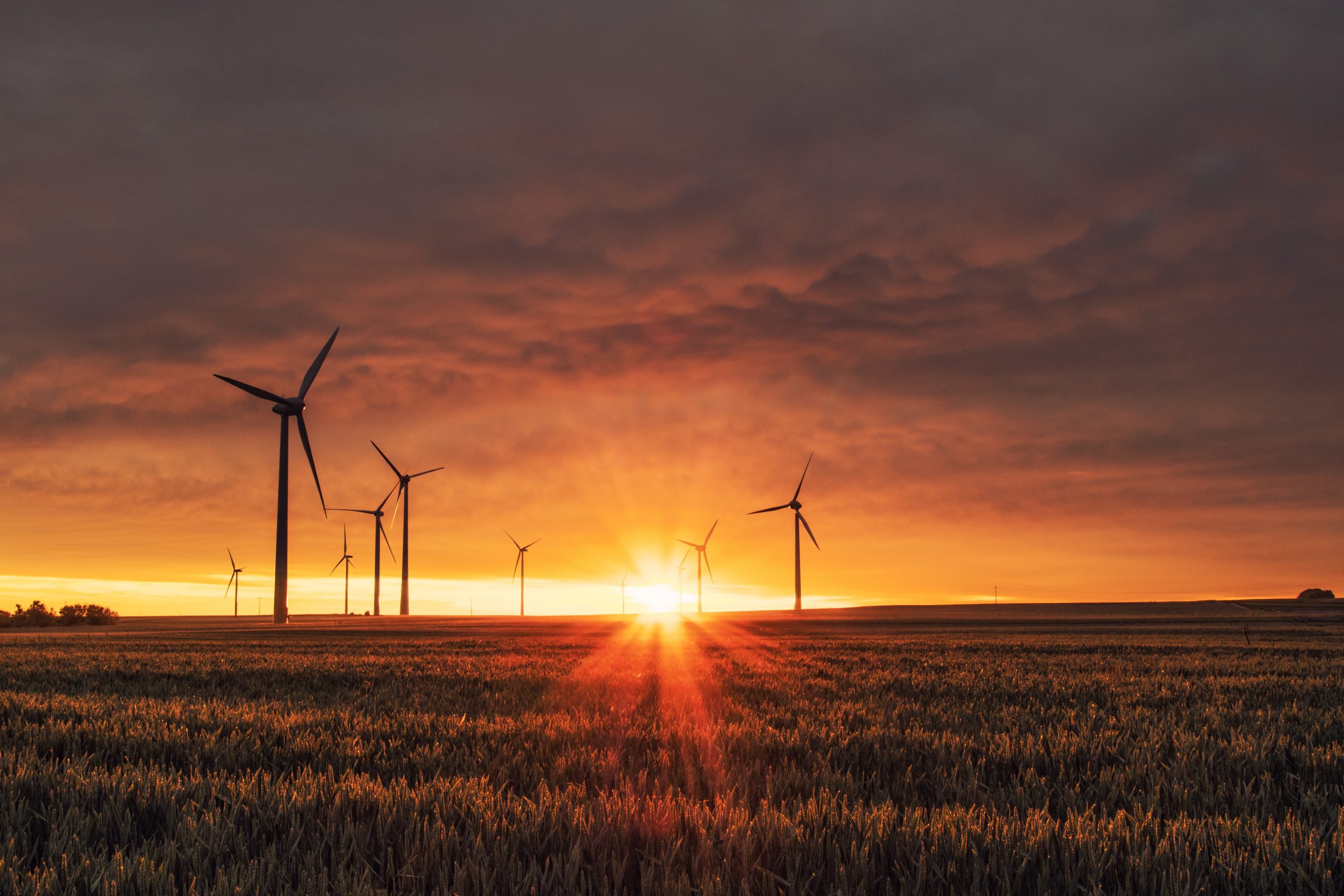 HIDROGÊNIO VERDE: O COMBUSTÍVEL DO FUTURO