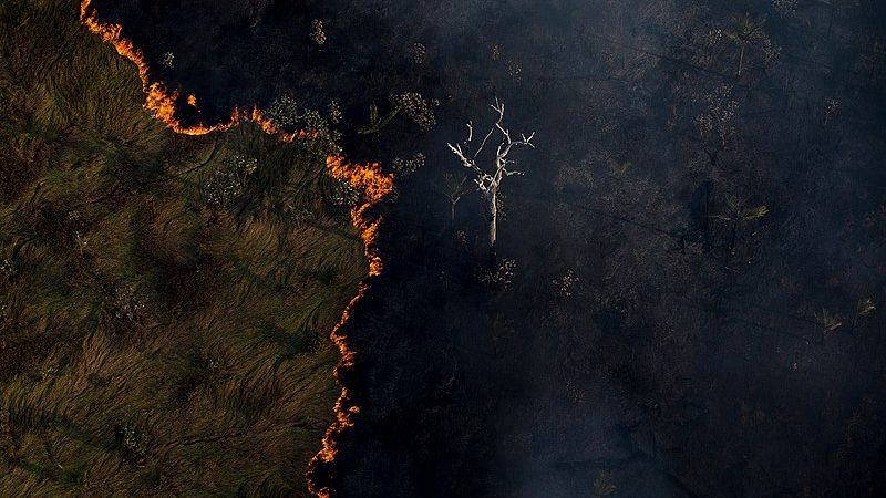 MUDANÇAS CLIMÁTICAS E A EXTREMA-DIREITA