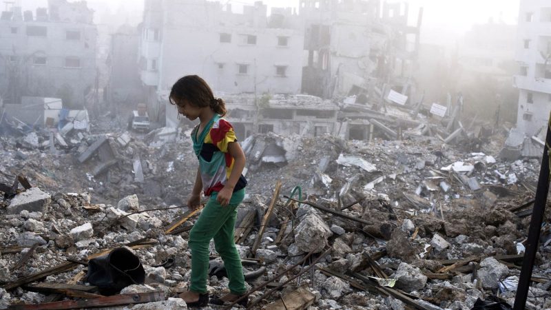 CRISE AMBIENTAL PARA GAZA, COTURNOS ECOLÓGICOS PARA ISRAEL