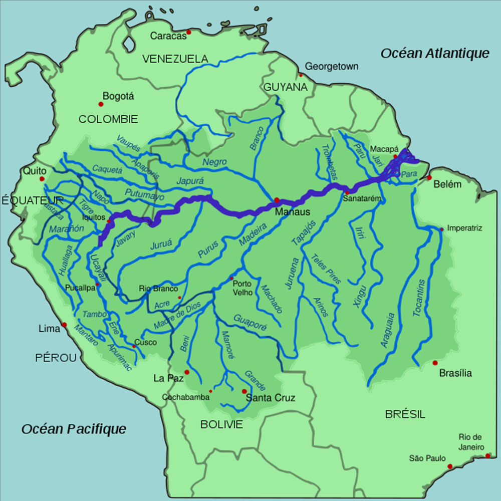A Bacia Amazônica
